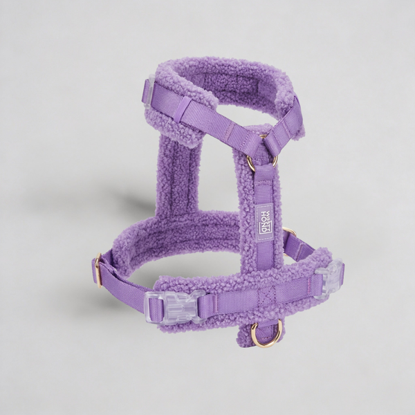 Hundegeschirr-Set Teddy Violett