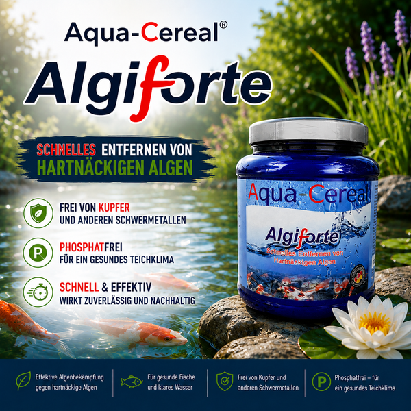 Fadenalgen bekämpfen mit Algiforte von Aqua-Cereal