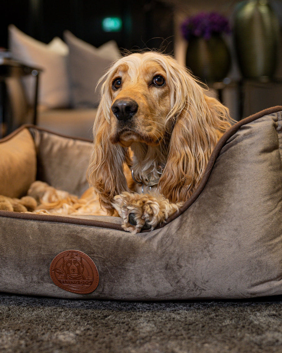 Hundebett Henri