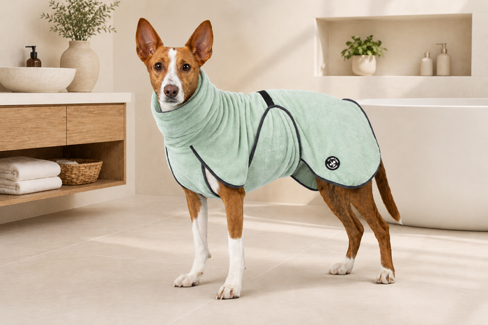 Hundebademantel & Schlafmantel Bambusfrottee (2-in-1) „Velvet Mint“