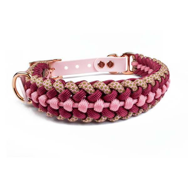 Hundehalsband Tierluxe Foxy Handgemacht Paracord Biothane