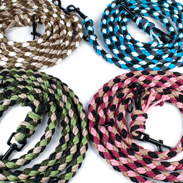 Hundeleine Tierluxe Natur Paracord Handgemacht