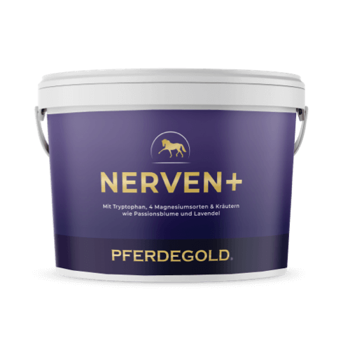 Nerven+ mit Tryptophan