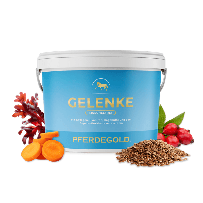 Gelenke Muschelfrei 2.0