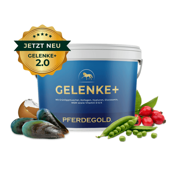 Gelenke+ 2.0