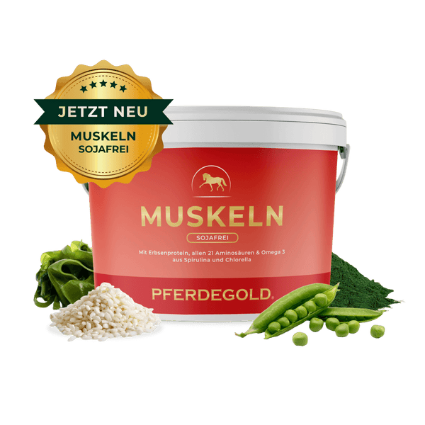 Muskeln 2.0 Sojafrei