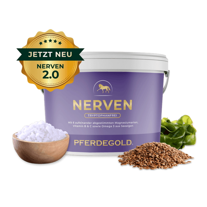 Nerven 2.0