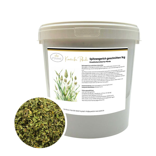 Spitzwegerich Pferd 1kg
