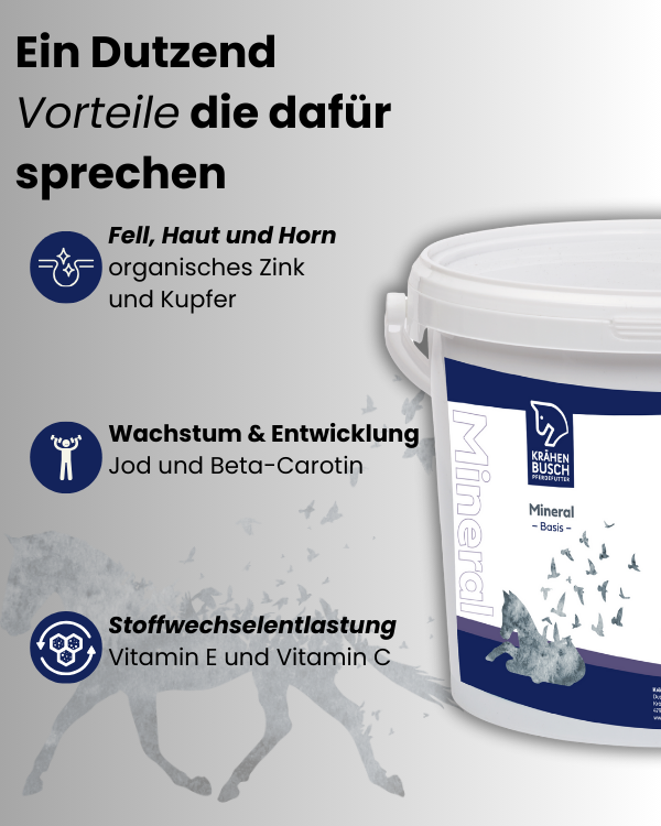 Krähenbusch® Mineral Basis