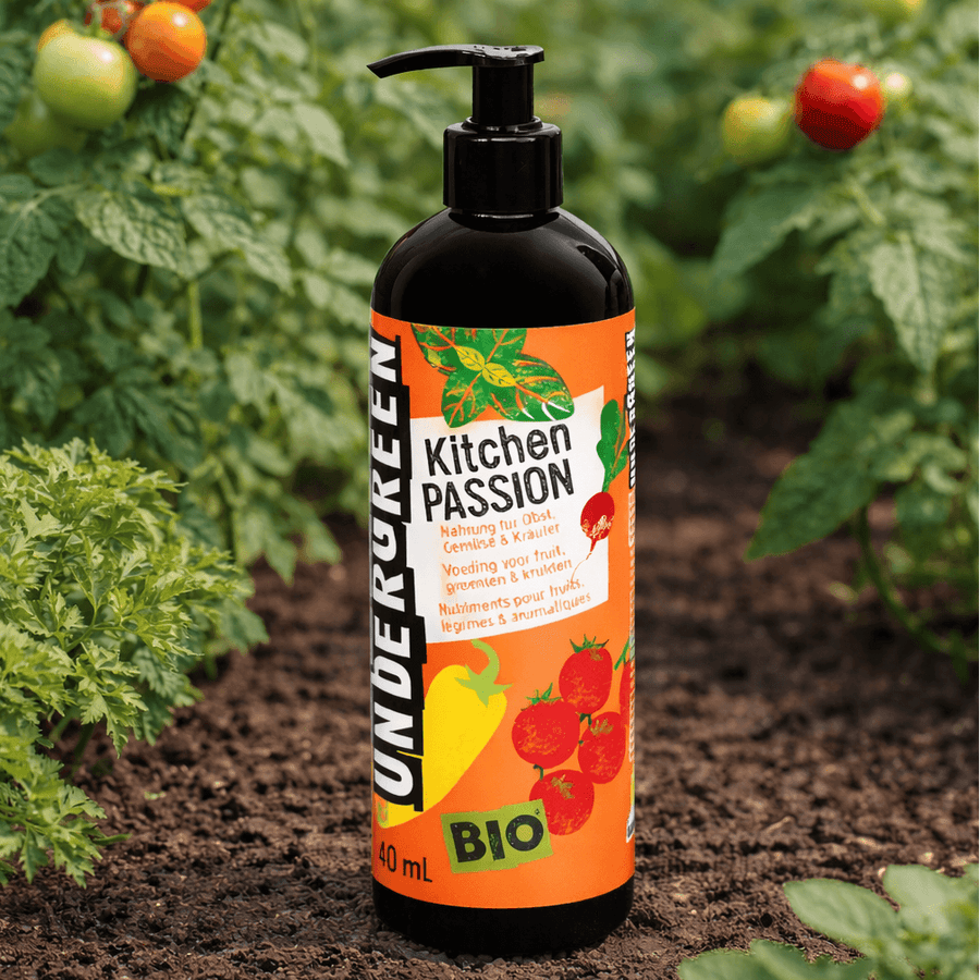 COMPO UNDERGREEN Bio-Flüssigdünger für Gemüse & Obst 1 Sück a 400 ml