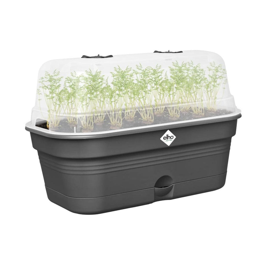 Elho - Green Basics - Anzuchtschale All-in-1 - L - Living Black Schwarz ca.39cm