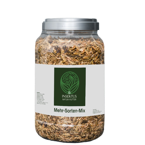 Insektus® Mehr Sorten Mix im Vorratsbehälter 2,5L.