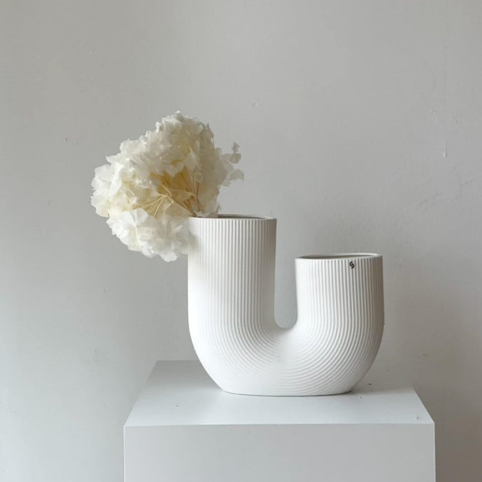 B-Ware Hortensie
