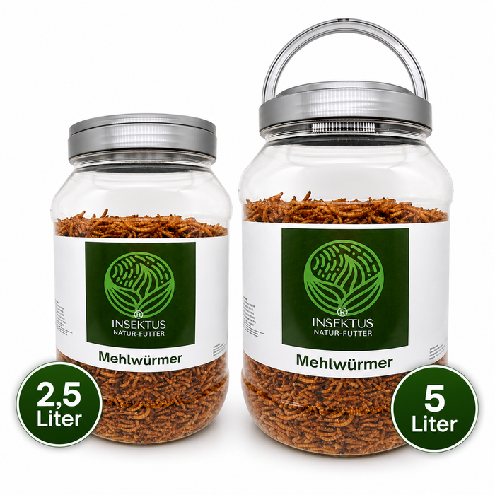 Insektus® Mehlwürmer getrocknet im Vorratsbehälter 5L.