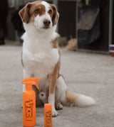 Wonder Fur – Fellspray Starter-Set