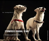Vorderführgeschirr STURMFREI® Original (16 mm) – XXS & XS - höhenverstellbar aus BioThane®
