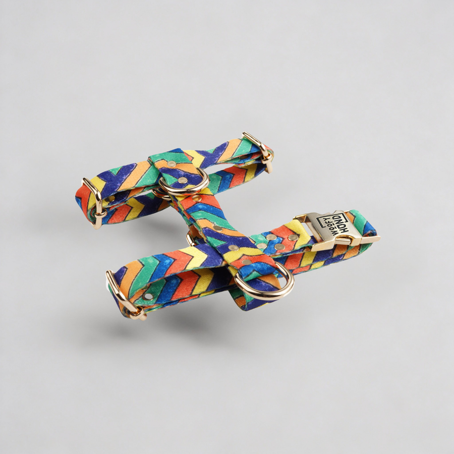 Hundegeschirr Festival