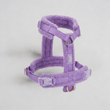 Hundegeschirr-Set Teddy Violett