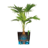 elho Greensense Aqua Care – Automatisches Bewässerungssystem für Pflanzentöpfe