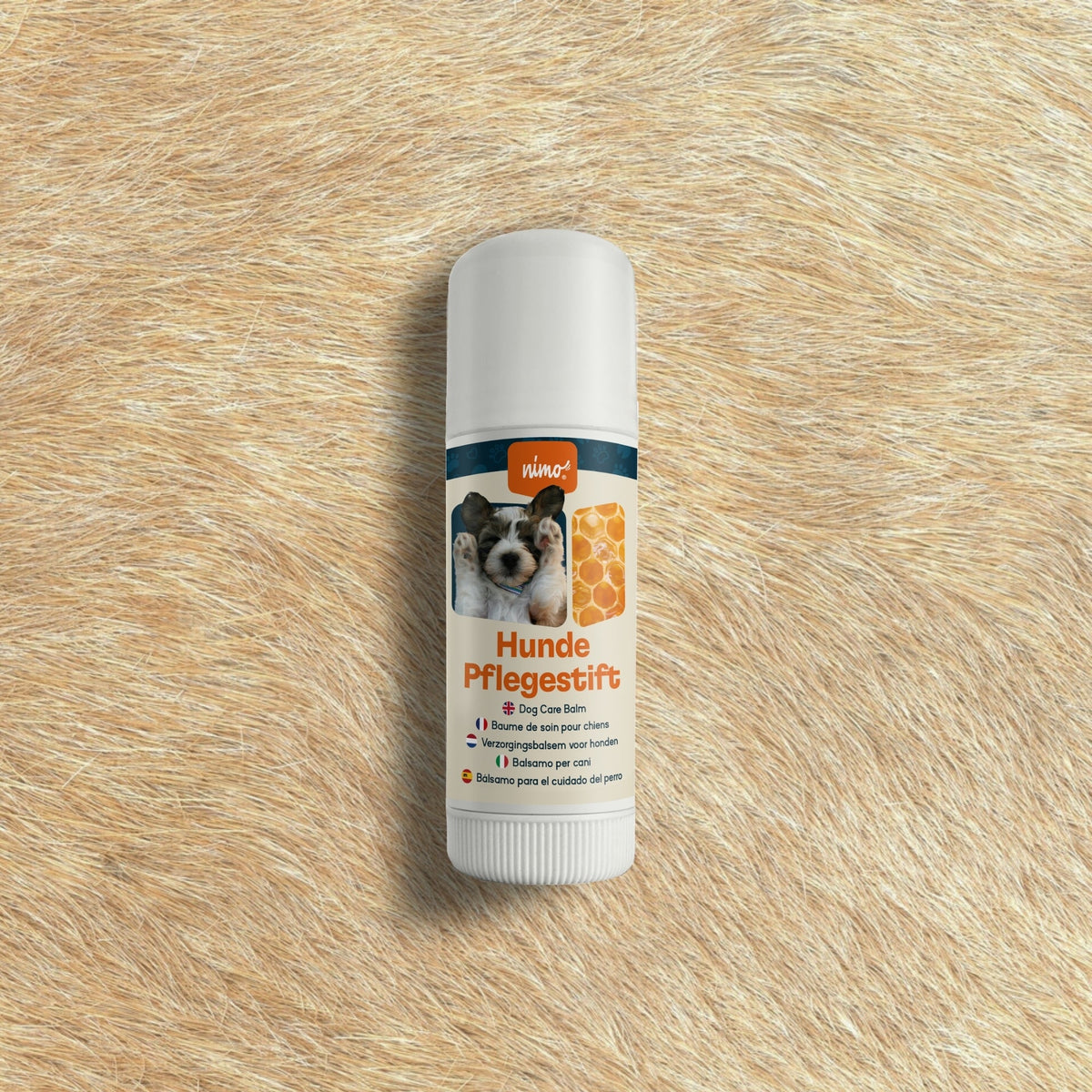 Hunde Pflegestift