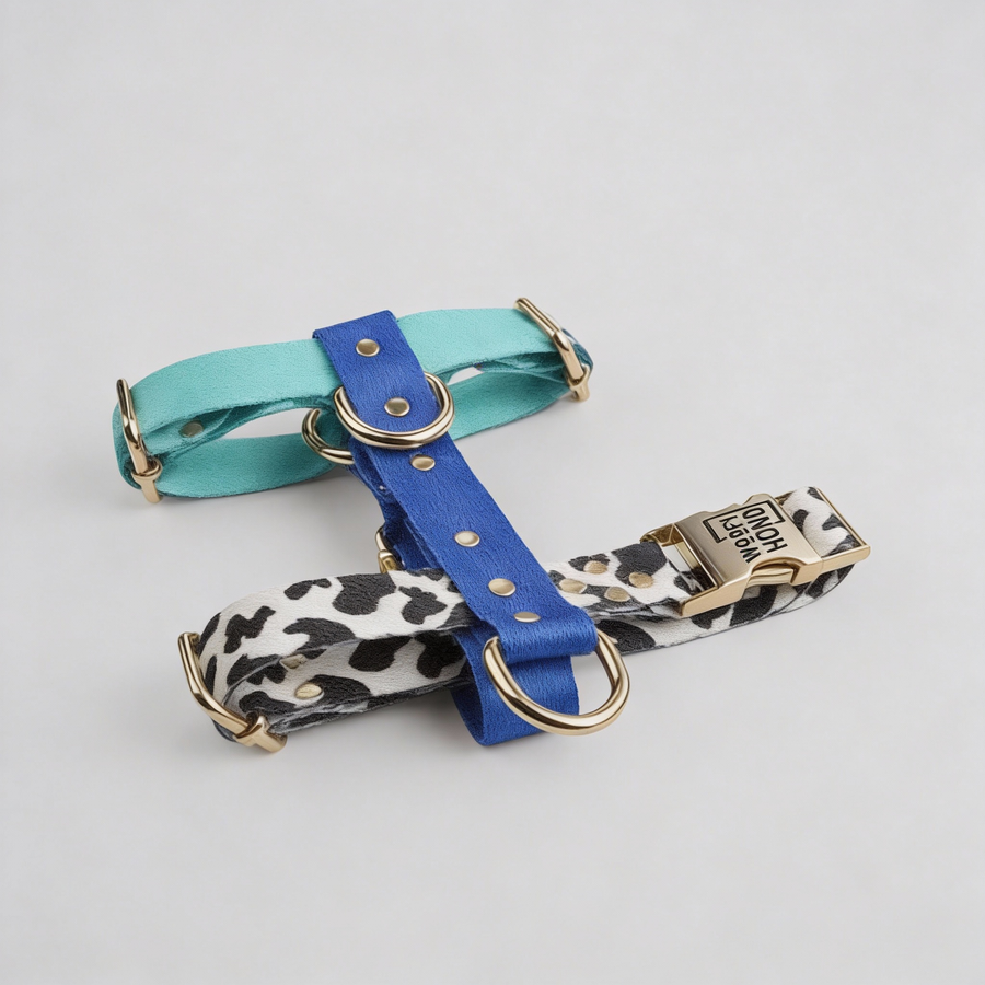 Hundegeschirr Blueberry