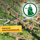 Solabiol Austriebsspritzmittel gegen Überwinterungsstadien von Spinnmilben |