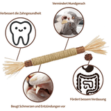 ZAHNLIEBE - Die Katzen Zahnpflege für gesunde Zähne