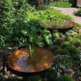 Wasserschalen 800 x 210 mm