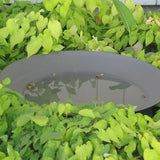 Wasserschalen 1000 x 230 mm