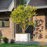 Fiberglas Pflanzkübel SHAPE – Geometrisch, Frostbeständig, RAL-Farben