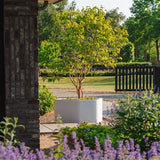 Fiberglas Pflanzkübel SHAPE – Geometrisch, Frostbeständig, RAL-Farben