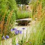 Wasserschalen 800 x 210 mm