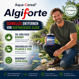Fadenalgen bekämpfen  mit Algiforte von Aqua-Cereal