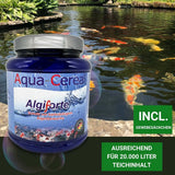 Fadenalgen bekämpfen  mit Algiforte von Aqua-Cereal
