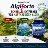 Fadenalgen bekämpfen  mit Algiforte von Aqua-Cereal