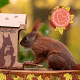 Freiluftbuffet für Eichhörnchen