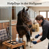 Strahlfäule beim Pferd behandeln | AnoKath® StrahlSan (schmerzfrei)