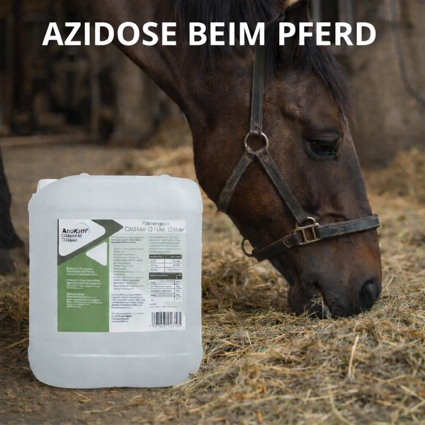 AnoKath® Liquid – Säure-Basen-Haushalt bei Azidose beim Pferd begleiten