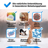 AnoKath® Liquid – Säure-Basen-Haushalt bei Azidose beim Pferd begleiten