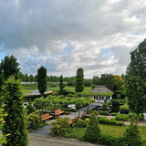 BORG mit Rückenlehne Beschichtetem Stahl