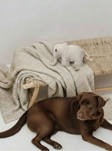 BUDDY. Hundespielzeug aus Leder 