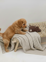 BUDDY. Hundespielzeug aus Leder 