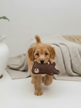 BUDDY. Hundespielzeug aus Leder 