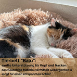 Hundebett 