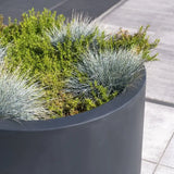 Fiberglas Pflanzkübel CIRCUM – Zylindrisch, Frostbeständig, RAL-Farben