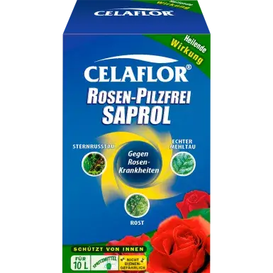 Celaflor® Rosen-Pilzfrei Saprol Konzentrat 100 ml