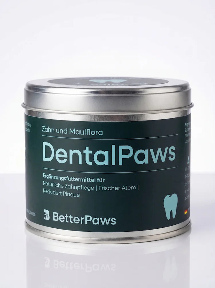 DentalPaws