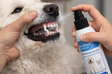AnoKath® Dental Spray – Hunde Zahnpflege ohne Zähneputzen, frischer Atem