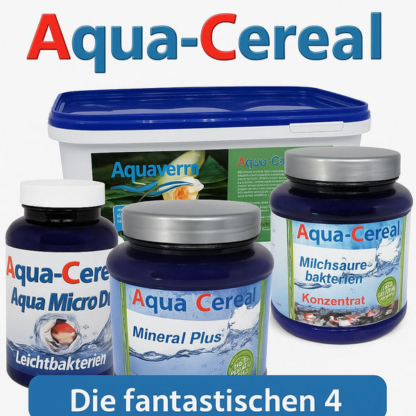 Die fantastischen VIER Wasserpflege 