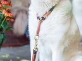 Hundehalsband OUTDOOR Rundzug